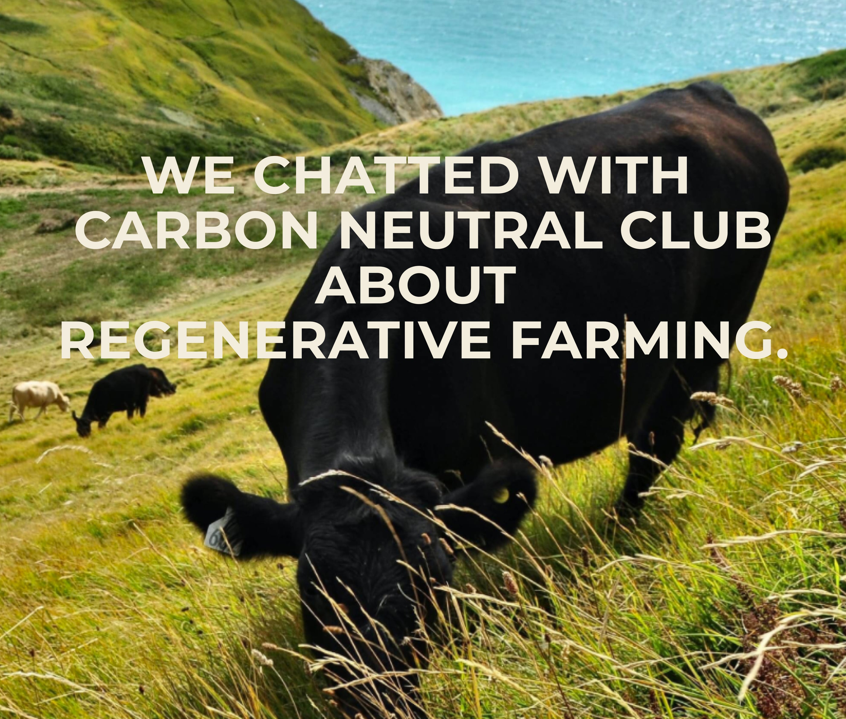 Regenerative Farming and Carbon Neutrality